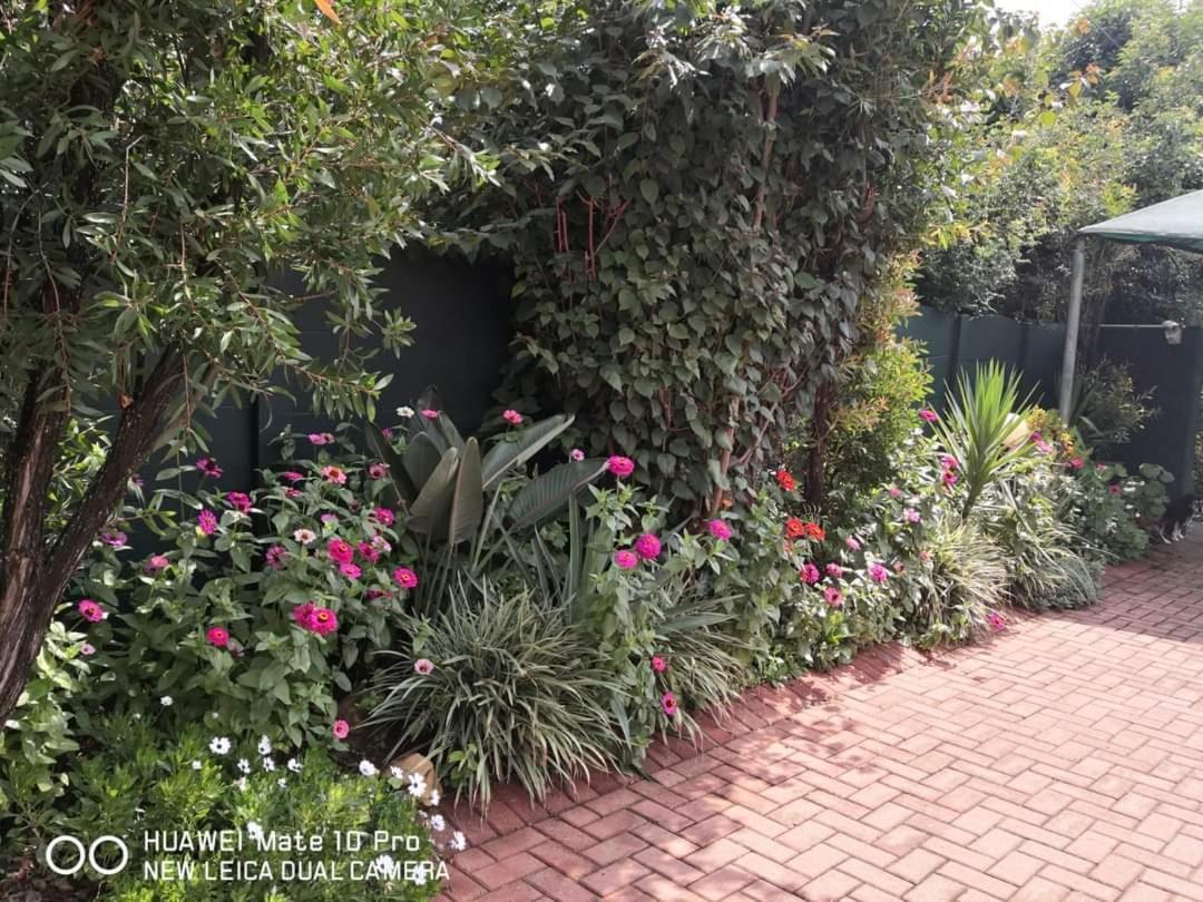 Sleep Eezy Cottages เบโนนิ ภายนอก รูปภาพ